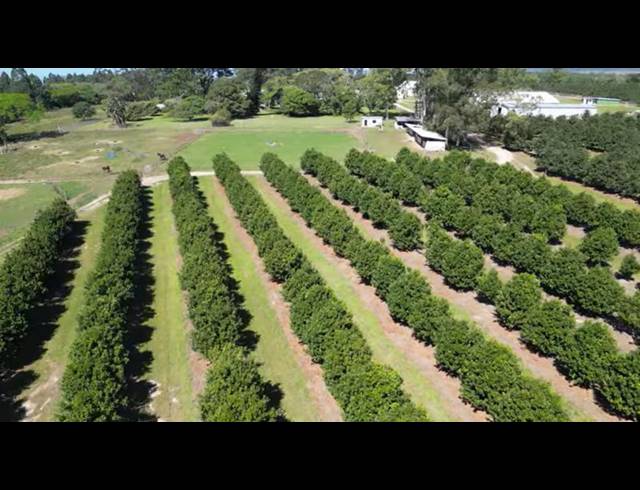 FARM FOR SALE IN PADDOCK